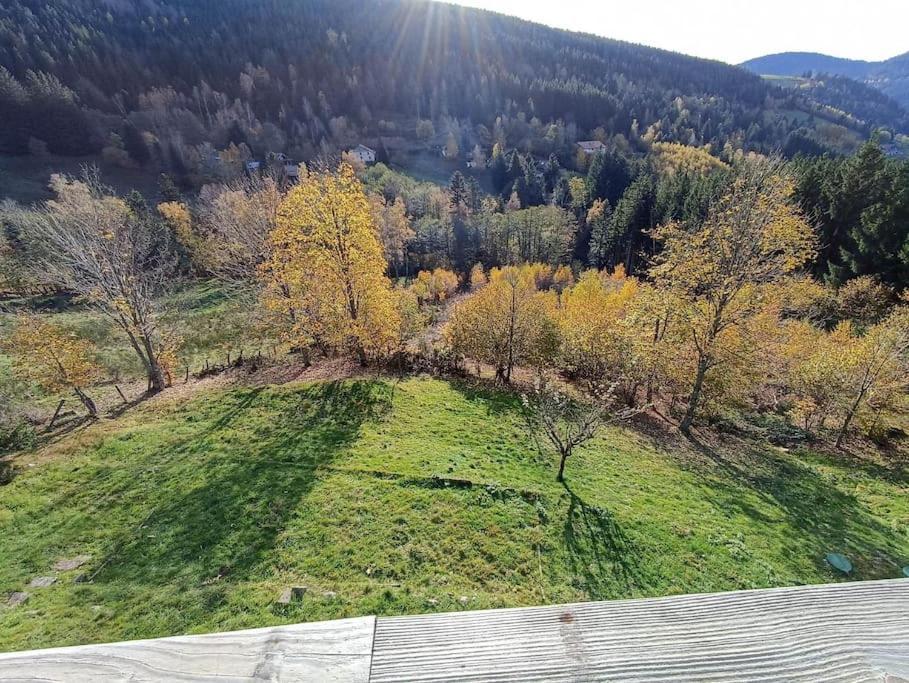 Maison De Montagne Vue Magnifique Ventron Bagian luar foto