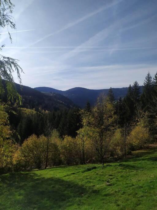 Maison De Montagne Vue Magnifique Ventron Bagian luar foto