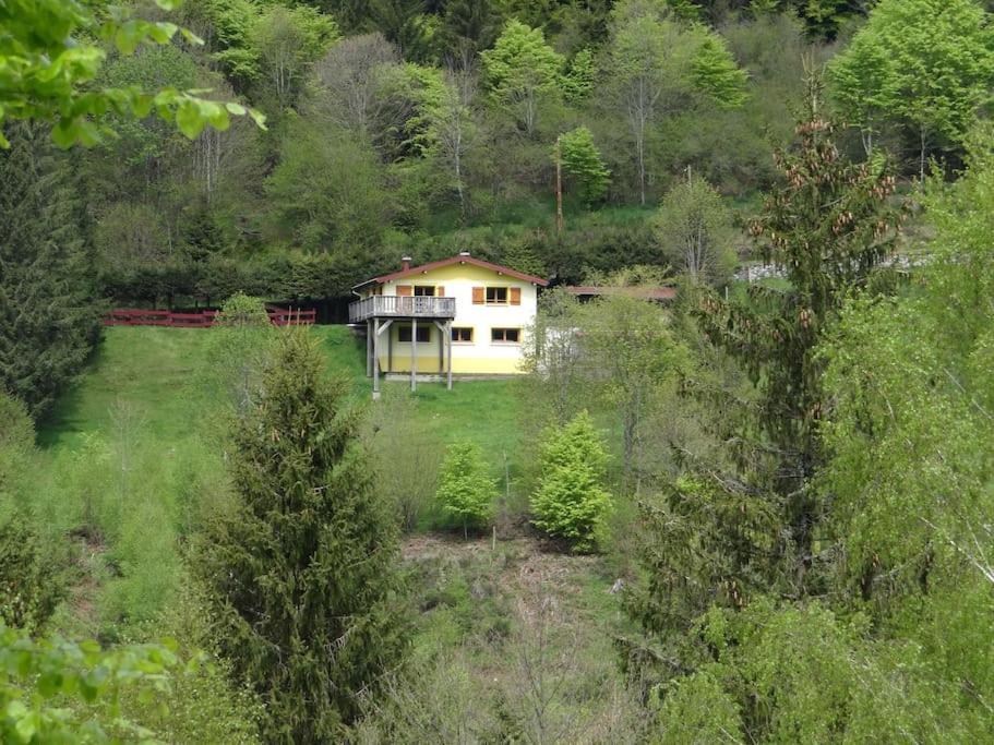 Maison De Montagne Vue Magnifique Ventron Bagian luar foto