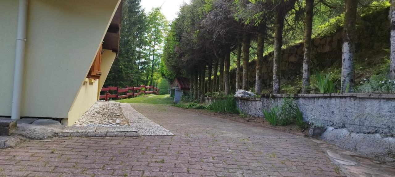 Maison De Montagne Vue Magnifique Ventron Bagian luar foto